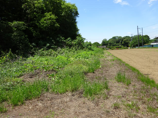 桶川市川田谷　不動産